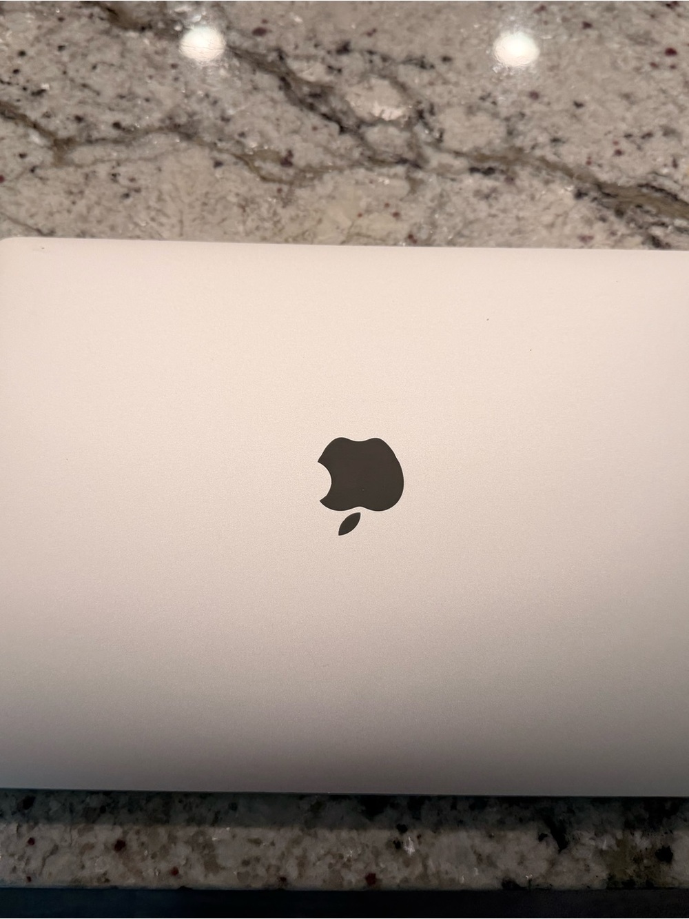Pink 13 inch Apple MacBook Pro 256G